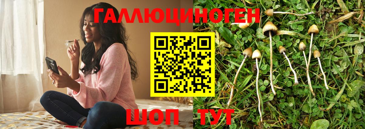 Галлюциногенные грибы Psilocybe  Псилоцибиновые грибы Magic Shrooms  Химки  Вход с VPN 
